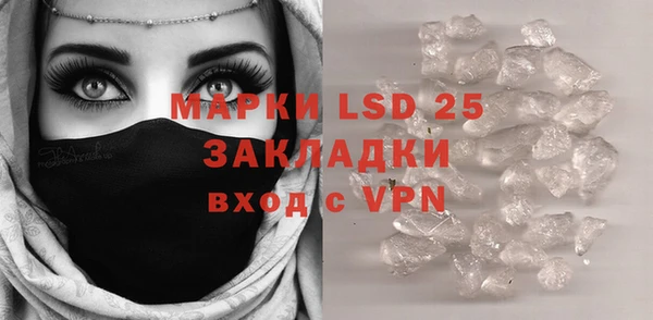 гидра Михайловка