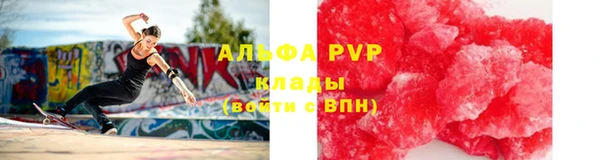 гидра Михайловка