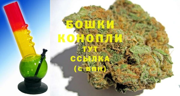 2c-b Мегион