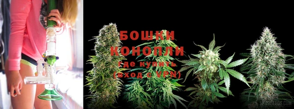 гидра Михайловка