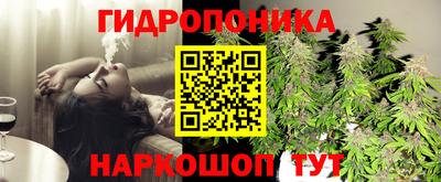 гашик Абинск
