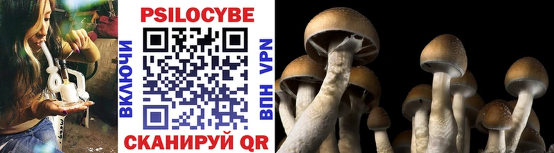 магазин    Россошь  Галлюциногенные грибы MAGIC MUSHROOMS 